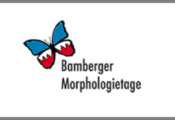 Bamberg Morphology 2020