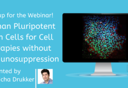 Pluripotent Stem Cell Differentiation Webinar
