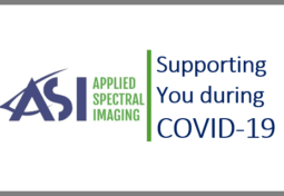 Support from ASI during COVID-19